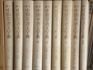 画像1: 新装　中国草書大字典 全9巻 (1)