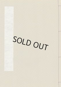 画像2: 日本書学大系　全4帙39冊+研究篇10冊 (2)