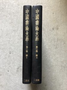 画像1: 中国書論大系2・3　唐　2冊　裸本 (1)