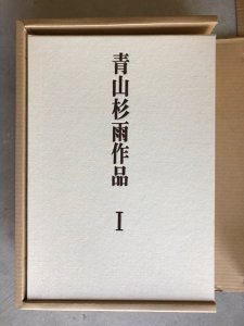 画像1: 青山杉雨作品　全２冊　輸送箱無 (1)