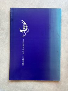 画像1: 上田桑鳩書作品集　方廣寺蔵 (1)